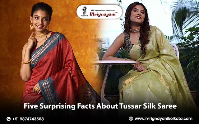 Five Surprising Facts About Tussar Silk Saree